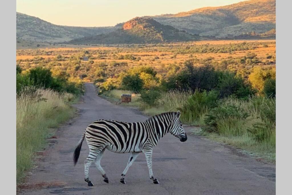 Rhino House With 3 Bedrooms Next To Pilanesberg And Sun City Mogwase Eksteriør billede