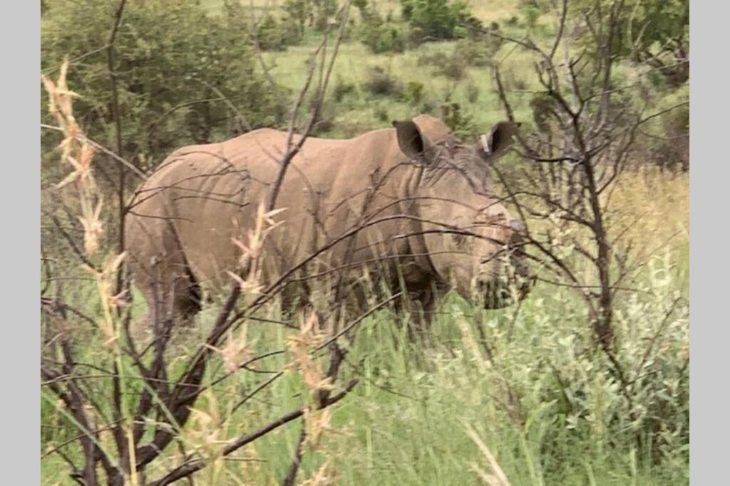 Rhino House With 3 Bedrooms Next To Pilanesberg And Sun City Mogwase Eksteriør billede